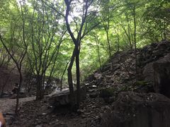 -十渡东湖港风景区