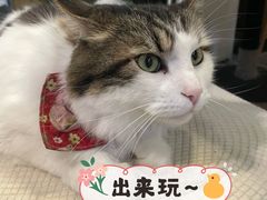 -小时光咖啡馆(北锣鼓巷店)
