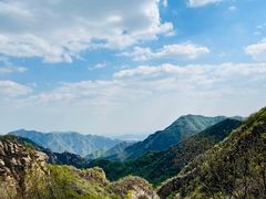 -大岭沟猕猴桃谷风景区