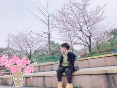 -新江湾城公园