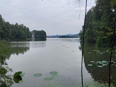 -东湖落雁景区