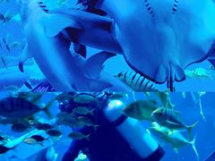 -太平洋海底世界