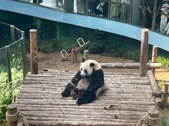 -大连森林动物园