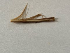 -合合春饼(潘家园店)
