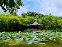 -大屏嶂森林公园