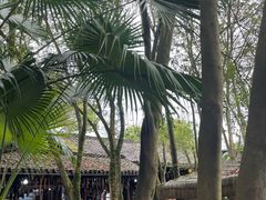 -土砂锅生态山庄·非遗砂锅雅鱼