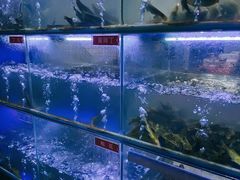 -石锅苗苗鱼(武汉首店)