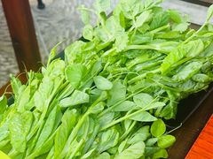 -大理.老字号渝记酸萝卜乌鱼(古城总店)