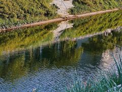 -福田红树林生态公园
