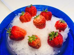 -四季民福烤鸭店(前门店)