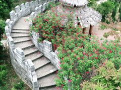 -松山湖梦幻百花洲