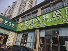 -瑞鹏宠物医院·内科·中兽医·骨科(苗圃店)