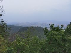 -府君山公园