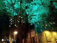 -洛阳白云山景区