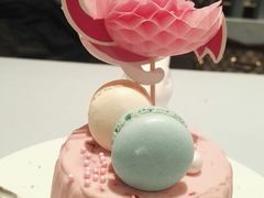 火烈鸟-随心小姐