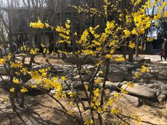 -新川办餐厅