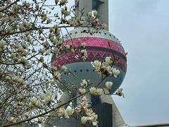 -海关大楼(陆家嘴街道)