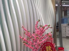 -圣贝口腔(海淀店)