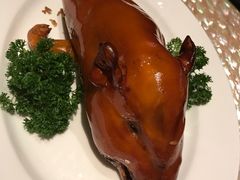 乳猪焗饭-8餐厅(新葡京酒店)