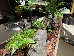 -芯元·碳烤熟成牛肉(经开店)