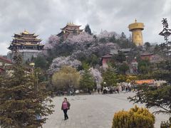 -迪庆藏族自治州博物馆