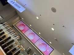 -雾与山茶(大禹城店)