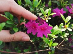 -白塘生态植物园