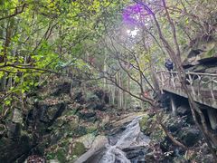 -藏龙百瀑风景区