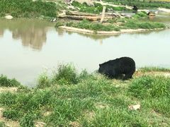 -上海野生动物园