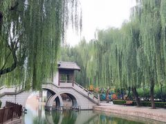 -团结湖公园