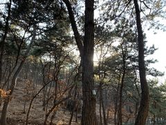 -红螺寺