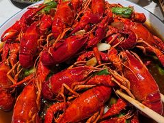 -杨氏青龙虾·羊蝎子(托乐嘉店)