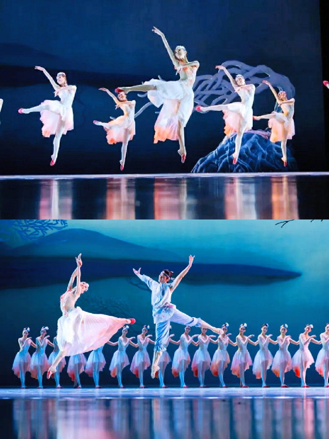 展览演出观看日记 | 舞剧「朱鹮」