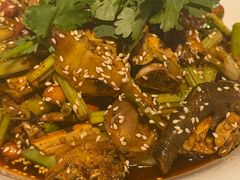 -柏合黄记豆腐皮饭店