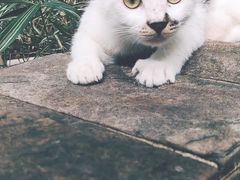 -苏州河梦清园环保主题公园