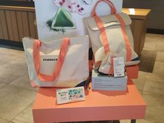 星冰粽-星巴克(兰州国芳百货店)