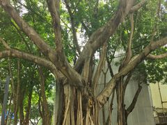 -深圳博物馆(古代艺术馆)