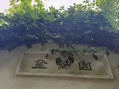 -水绘园