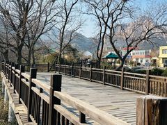 -崂山仰口游览区