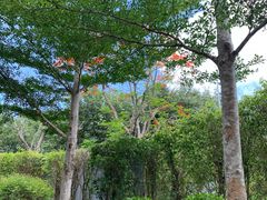 -瑰丽酒店·海吧·天际下午茶·现场DJ·天台酒吧