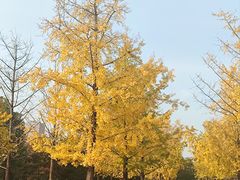 -重庆中央公园(渝北区)