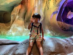 -杭州开元森泊度假乐园