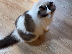 -白兔子密室(长寿路店)