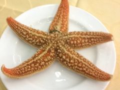 清蒸海星-海岛渔村大酒店(云霄路店)