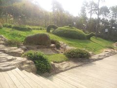 -铁山坪森林公园