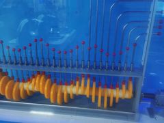 -陕西科学技术馆