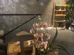 -施奈儿.洗头頭療.按摩SPA.采耳(上梅林店)