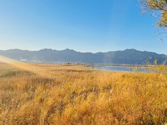 -野鸭湖国家湿地公园