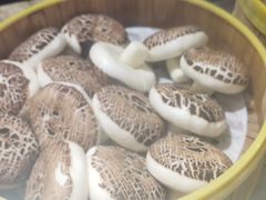 -索菲亚国际大酒店