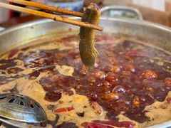 现杀活泥鳅-飘香火锅(玉林西路店)